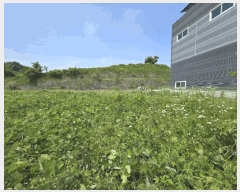  2025Ÿ��739  �Ӿ߰��