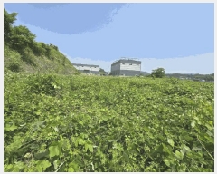  2025Ÿ��739  �Ӿ߰��