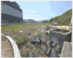  2025Ÿ��739  �Ӿ߰��