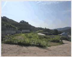  2025Ÿ��766 �泲 ���ֽ� ������ �λ긮 1005-13      ����(������)���