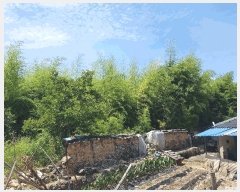  2025Ÿ��773  �������