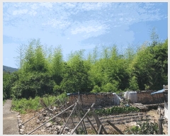  2025Ÿ��773  �������