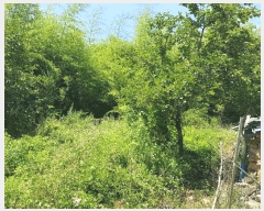  2025Ÿ��773  �������