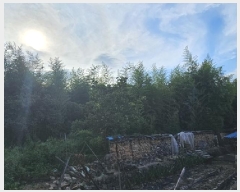  2025Ÿ��773  �������