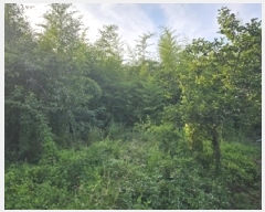  2025Ÿ��773  �������