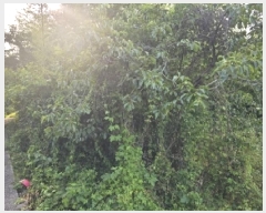  2025Ÿ��773  �������