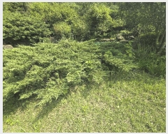  2025Ÿ��777  ���ð��