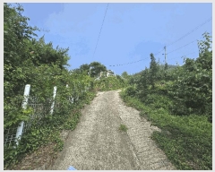  2025Ÿ��777  ���ð��