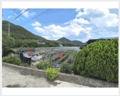  2025Ÿ��798  ����