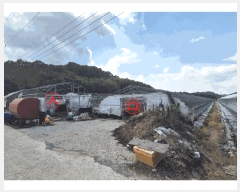  2025Ÿ��798  ����