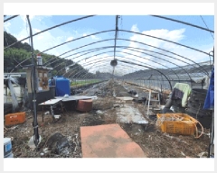  2025Ÿ��798  ����