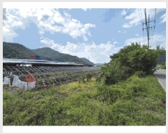  2025Ÿ��798  ����