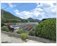  2025Ÿ��798  ����