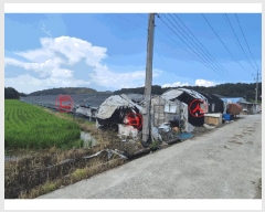  2025Ÿ��798  ����