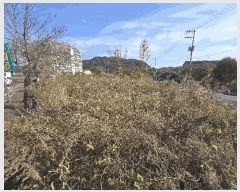  2025Ÿ��815 �泲 ��õ�� �ൿ�� ���Ḯ 289-4      ����(��)���