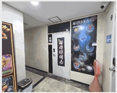  2025Ÿ��815 �泲 ��õ�� �ൿ�� ���Ḯ 289-4      ����(��)���