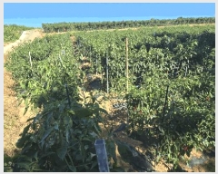  2025Ÿ��825 �泲 ���ر� ��õ�� ������ 603-2      ����(��1)���