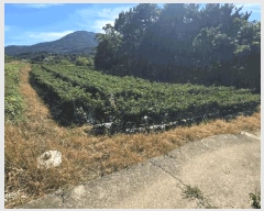  2025Ÿ��825 �泲 ���ر� ��õ�� ������ 603-2      ����(��1)���