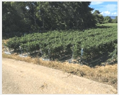  2025Ÿ��825 �泲 ���ر� ��õ�� ������ 603-2      ����(��1)���