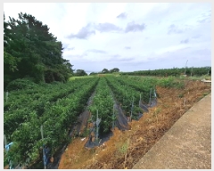  2025Ÿ��825 �泲 ���ر� ��õ�� ������ 603-2      ����(��1)���