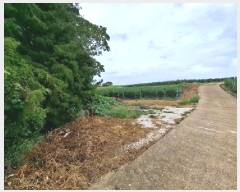  2025Ÿ��825 �泲 ���ر� ��õ�� ������ 603-2      ����(��1)���