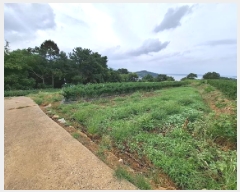  2025Ÿ��825 �泲 ���ر� ��õ�� ������ 603-2      ����(��1)���