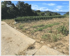  2025Ÿ��825 �泲 ���ر� ��õ�� ������ 603-2      ����(��1)���