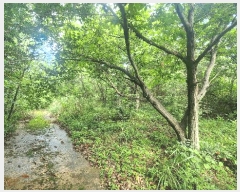  2025Ÿ��847 �泲 ��û�� �ŵ�� ������ ��137      ����(�Ӿ�)���