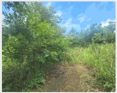  2025Ÿ��847 �泲 ��û�� �ŵ�� ������ ��137      ����(�Ӿ�)���