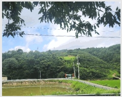  2025Ÿ��847 �泲 ��û�� �ŵ�� ������ ��137      ����(�Ӿ�)���