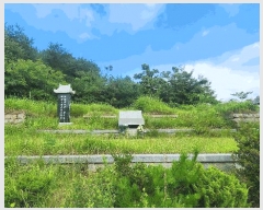  2025Ÿ��847 �泲 ��û�� �ŵ�� ������ ��137      ����(�Ӿ�)���