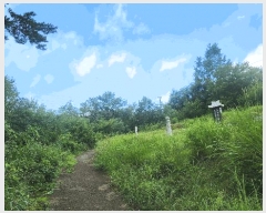  2025Ÿ��847 �泲 ��û�� �ŵ�� ������ ��137      ����(�Ӿ�)���