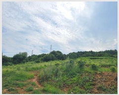  2025Ÿ��847 �泲 ��û�� �ŵ�� ������ ��137      ����(�Ӿ�)���