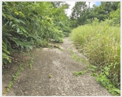  2025Ÿ��847 �泲 ��û�� �ŵ�� ������ ��137      ����(�Ӿ�)���