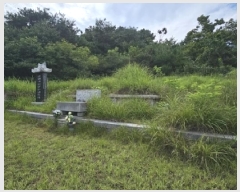  2025Ÿ��847 �泲 ��û�� �ŵ�� ������ ��137      ����(�Ӿ�)���