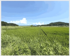  2025Ÿ��879 �泲 ��õ�� ������ ���丮 119-52      ����(��)���