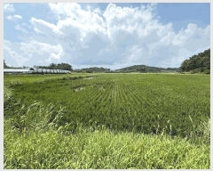  2025Ÿ��879 �泲 ��õ�� ������ ���丮 119-52      ����(��)���