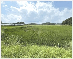  2025Ÿ��879 �泲 ��õ�� ������ ���丮 119-52      ����(��)���