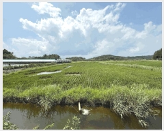  2025Ÿ��879 �泲 ��õ�� ������ ���丮 119-52      ����(��)���