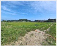  2025Ÿ��879 �泲 ��õ�� ������ ���丮 119-52      ����(��)���