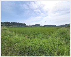  2025Ÿ��879 �泲 ��õ�� ������ ���丮 119-52      ����(��)���