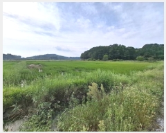  2025Ÿ��879 �泲 ��õ�� ������ ���丮 119-52      ����(��)���