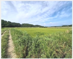  2025Ÿ��879 �泲 ��õ�� ������ ���丮 119-52      ����(��)���