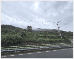  2025Ÿ��889 �泲 �ϵ��� �Ǿ�� ��縮 ��82-1      ����(�Ӿ�)���