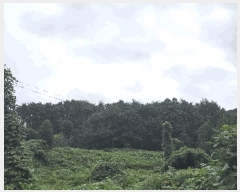  2025Ÿ��889 �泲 �ϵ��� �Ǿ�� ��縮 ��82-1      ����(�Ӿ�)���