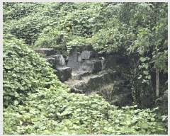  2025Ÿ��889 �泲 �ϵ��� �Ǿ�� ��縮 ��82-1      ����(�Ӿ�)���