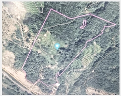  2025Ÿ��889 �泲 �ϵ��� �Ǿ�� ��縮 ��82-1      ����(�Ӿ�)���