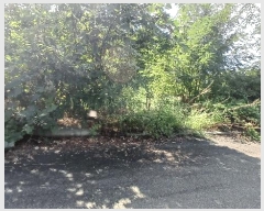  2025Ÿ��904 �泲 ��õ�� ������ ��185-5       ����(�Ӿ�)���