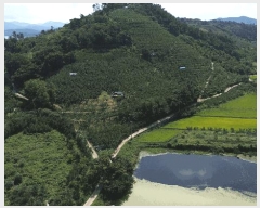  2025Ÿ��904 �泲 ��õ�� ������ ��185-5       ����(�Ӿ�)���