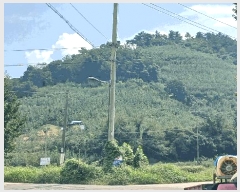  2025Ÿ��904 �泲 ��õ�� ������ ��185-5       ����(�Ӿ�)���